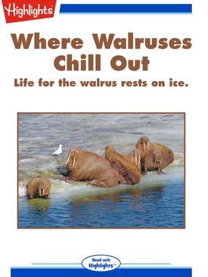 cover image of Where Walruses Chill Out
